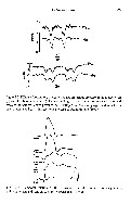 John K-J Li - Dynamics of the Vascular System, page 192